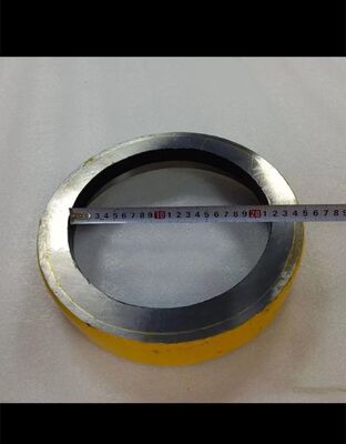 comprare Anello di usura della pompa di calcestruzzo 261123001, DN230 online manufacture