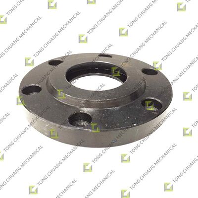 comprare 60C1816.5-12 Coperchio terminale di miscelazione, Coperchio terminale albero di miscelazione, Coperchio terminale testa di miscelazione, Coperchio terminale miscelatore, Coperchio terminale camera di miscelazione, Coperchio terminale tamburo di miscelazione, Coperchio terminale agitatore, Coperchio terminale tenuta di miscelazione online manufacture