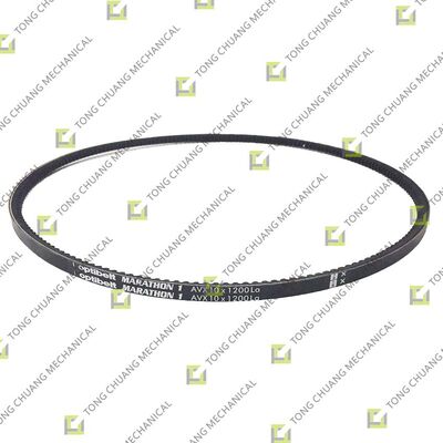 13*1200/Importato, Nazionale, Cinghia Pompa Acqua Deutz-Pompa Carburante, Cinghia Ausiliaria Motore Deutz, Cinghia Multi-V Deutz, Cinghia a V Deutz, Cinghia di Trasmissione Accessori Motore Deutz, Cinghia a Doppia Trasmissione Deutz